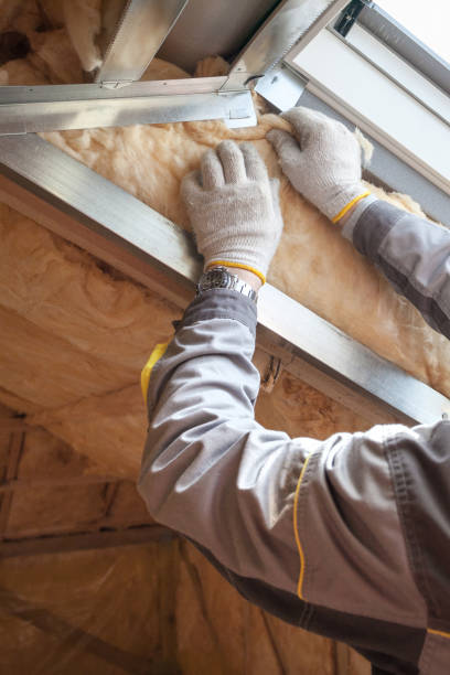 Best Blown-In Insulation  in Mount Olive, IL